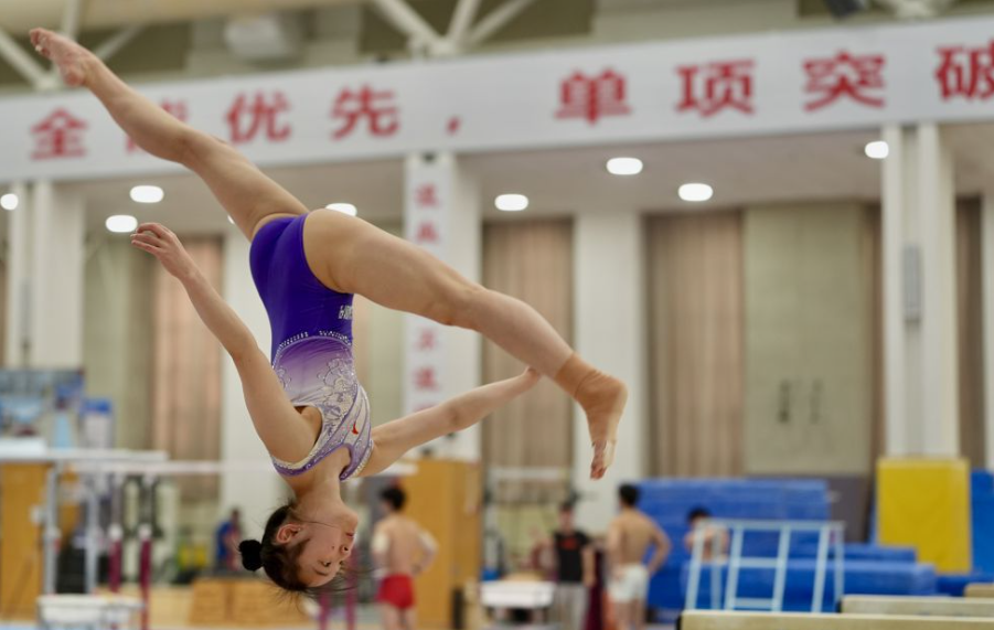 彩杏彩票的信任度与品牌建设